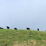 Vivenda Areias *