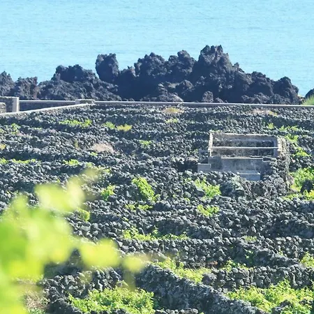 Apartment Vivenda Areias