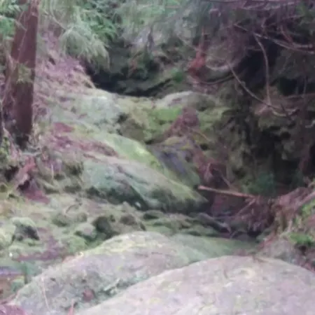 Vivenda Areias Vila Nova (Terceira)