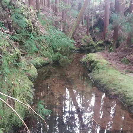 아파트 Vivenda Areias