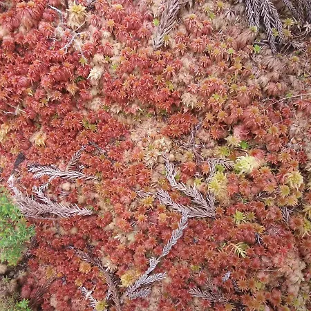 Vivenda Areias 아파트 Vila Nova (Terceira)