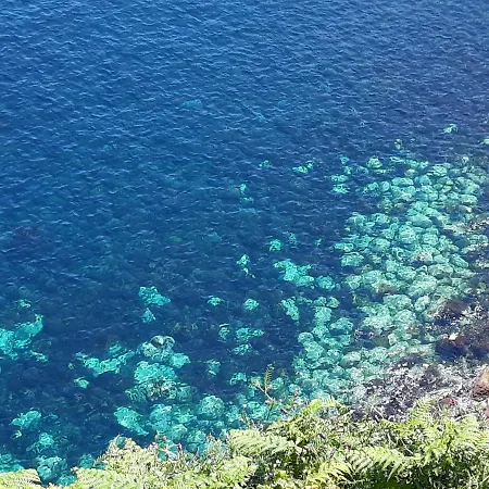 Apartment Vivenda Areias