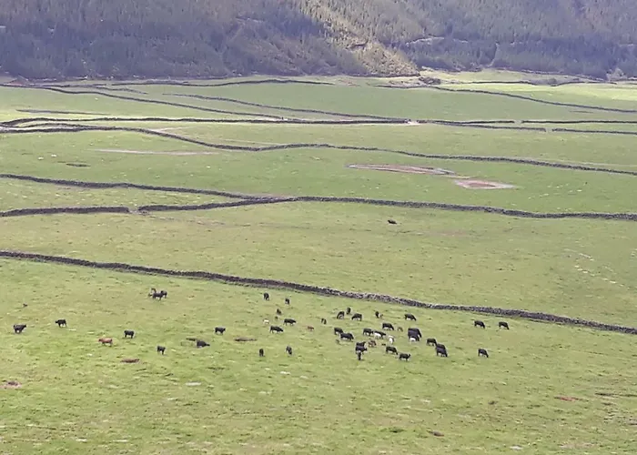 Vivenda Areias Apartamento *